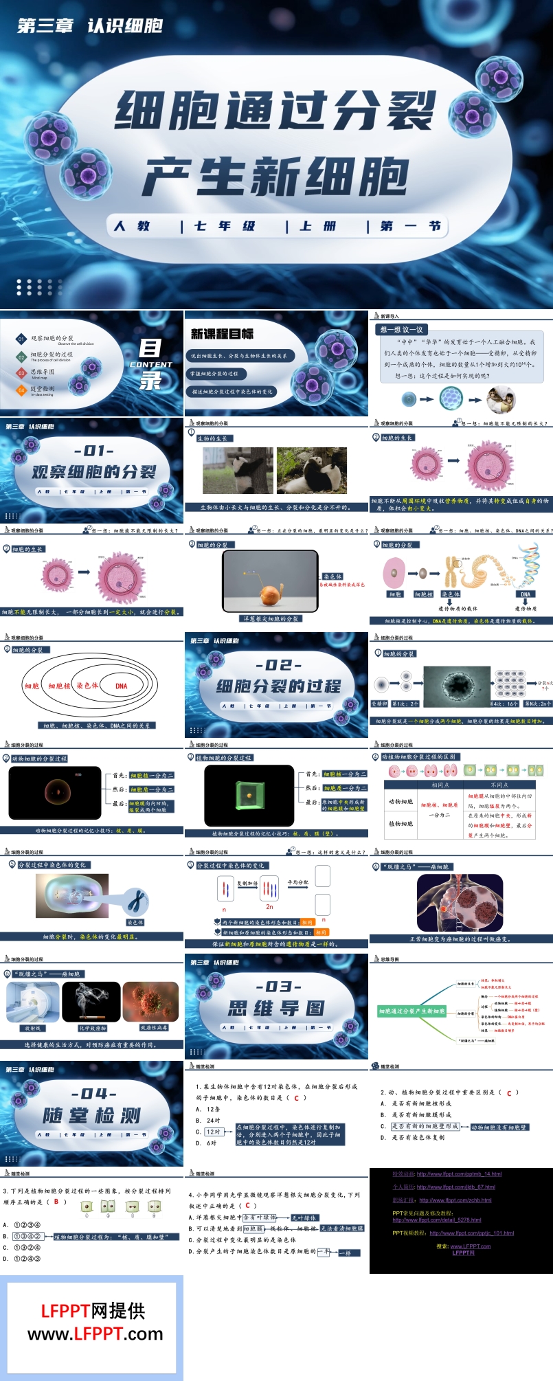 细胞通过分裂产生新细胞生物人教七年级生物上册PPT课件含教案
