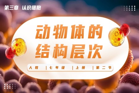 動物體的結構層次生物人教七年級生物上冊PPT課件含教案