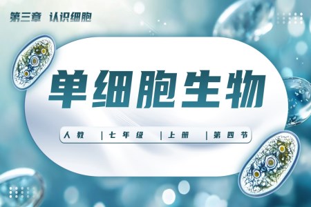 單細(xì)胞生物生物人教七年級生物上冊PPT課件含教案