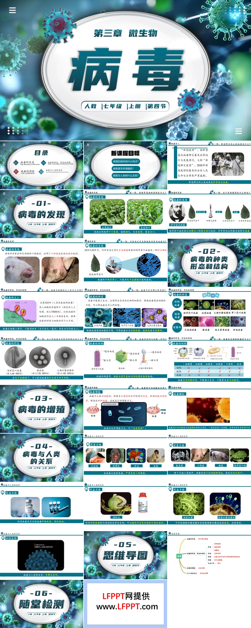 病毒生物人教七年级生物上册PPT课件含教案