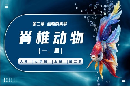 脊椎動物（一、魚）生物人教七年級生物上冊PPT課件含教案
