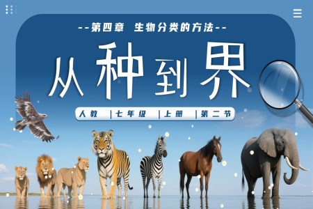 從種到界生物人教七年級生物上冊PPT課件含教案