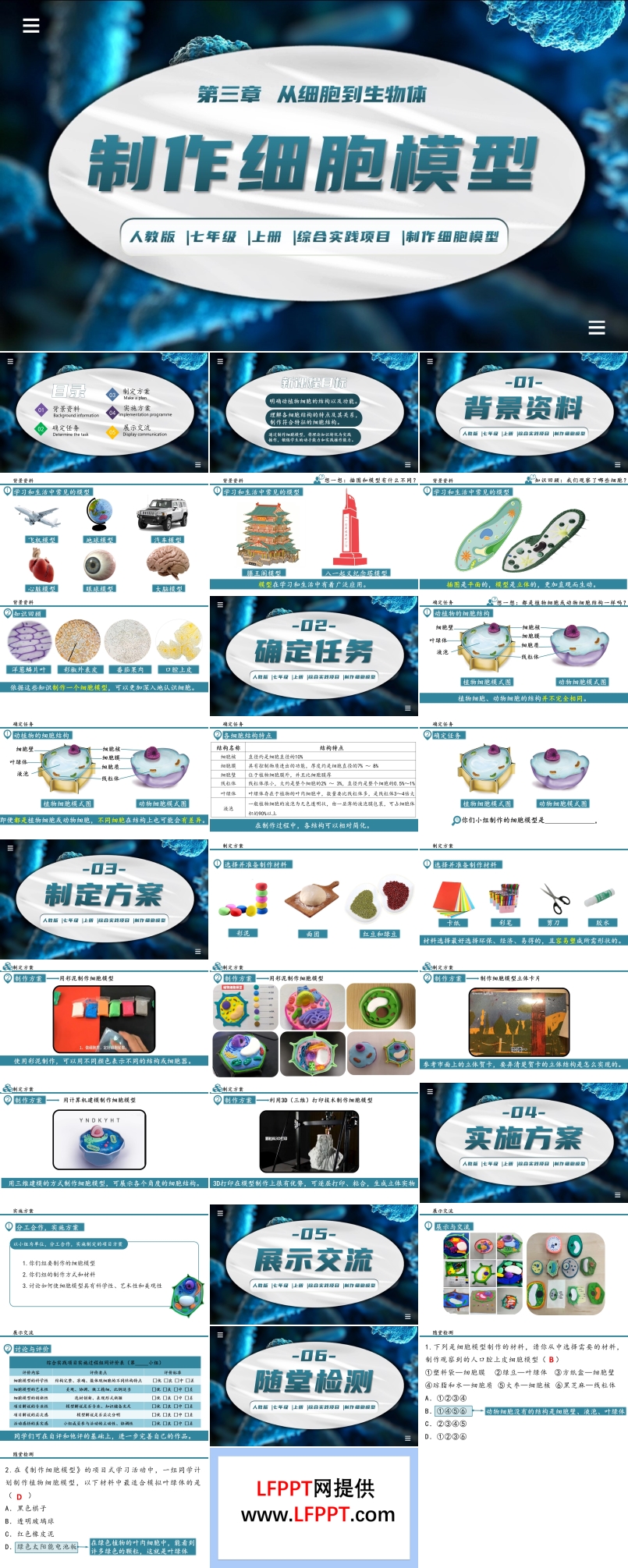 综合实践项目制作细胞模型生物人教七年级生物上册PPT课件含教案