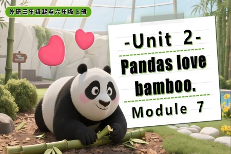 Module 7 Unit 2 Pandas love bamboo. 六年级英语上册外研PPT课件含教案