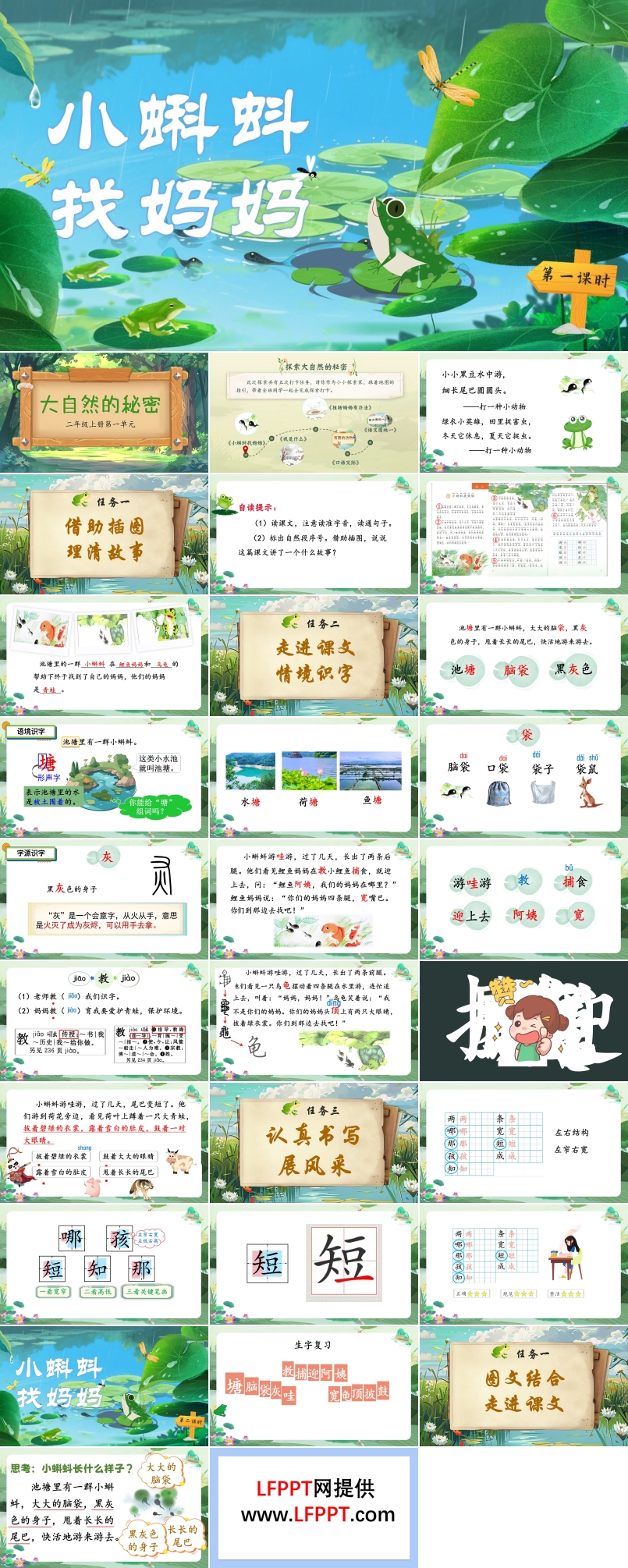小蝌蚪找妈妈部编语文二年级上册PPT课件含教案