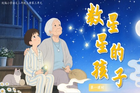 数星星的孩子部编语文二年级上册PPT课件含教案
