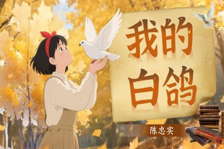 《我的白鸽》部编语文七年级上册PPT课件含教案