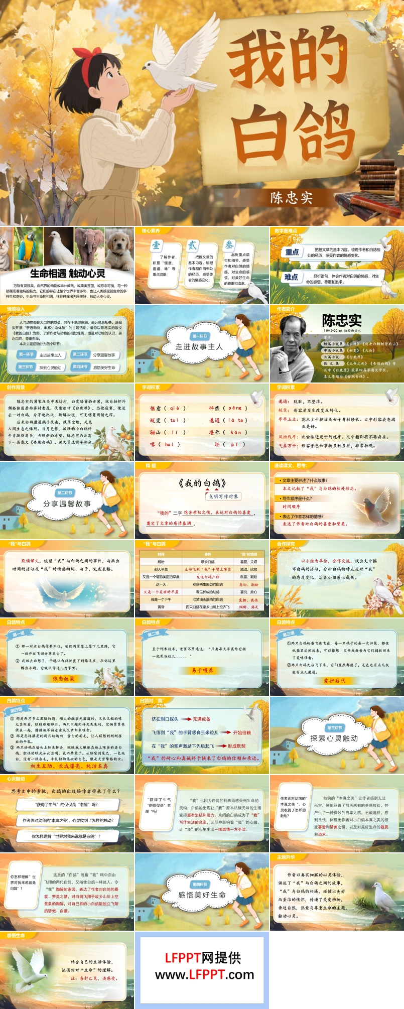 《我的白鸽》部编语文七年级上册PPT课件含教案