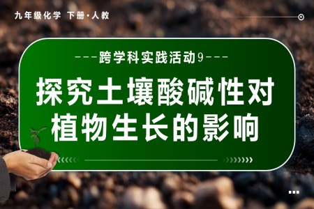 跨学科实践活动9 探究土壤酸碱性对植物生长的影响人教九年级化学下册PPT课件含教案