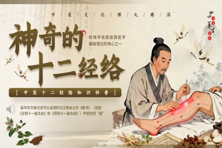 十二经络介绍PPT含讲稿