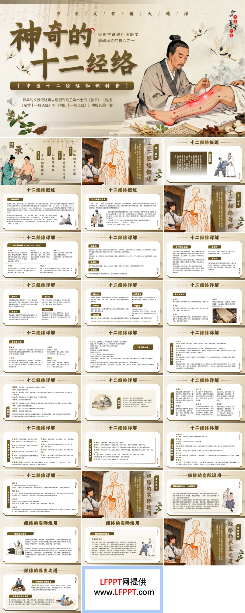 十二经络介绍PPT含讲稿