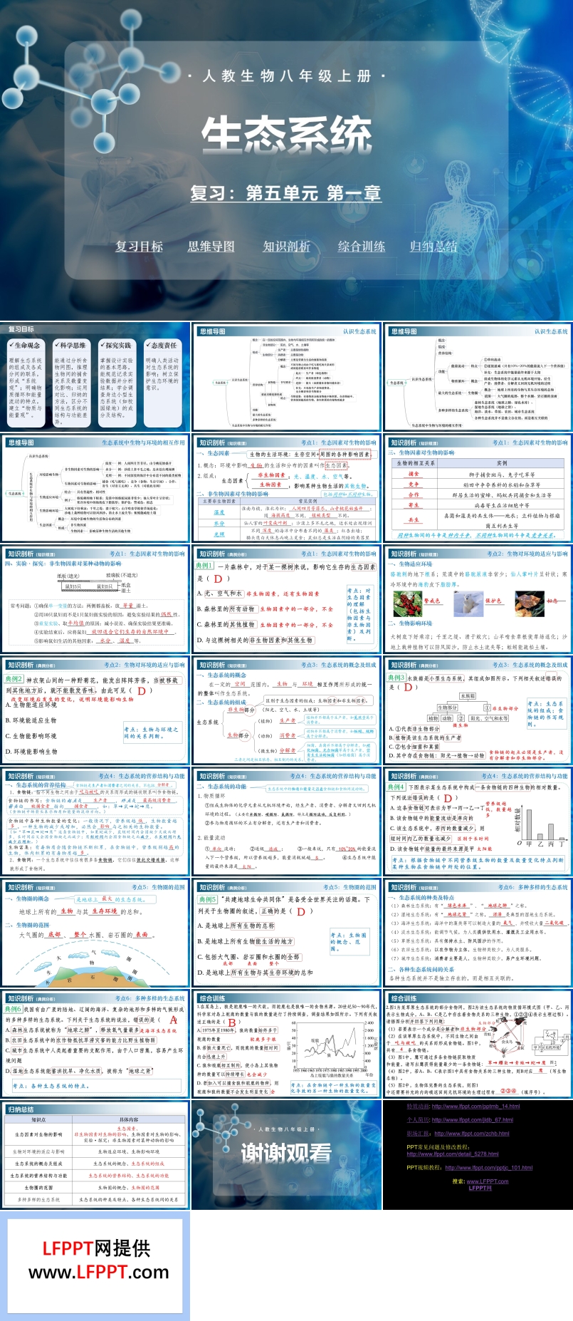 第五单元第一章 生态系统（复习课件）八年级生物上册同步备课系列（人教版2024）ppt课件含知识清单