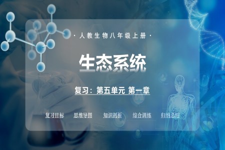 第五单元第一章 生态系统（复习课件）八年级生物上册同步备课系列（人教版2024）ppt课件含知识清单