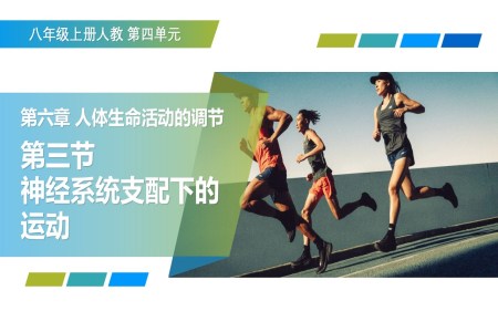 4.6.3 神经系统支配下的运动（教学课件）八年级生物上册 人教 ppt课件含教案