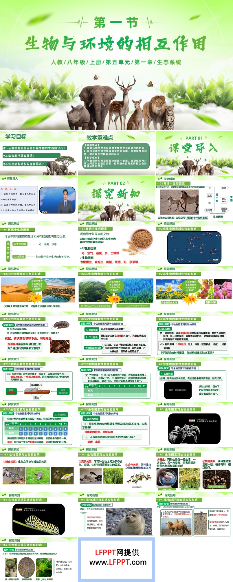 5.1.1 生物与环境的相互作用（教学课件）八年级生物上册人教ppt课件含教案