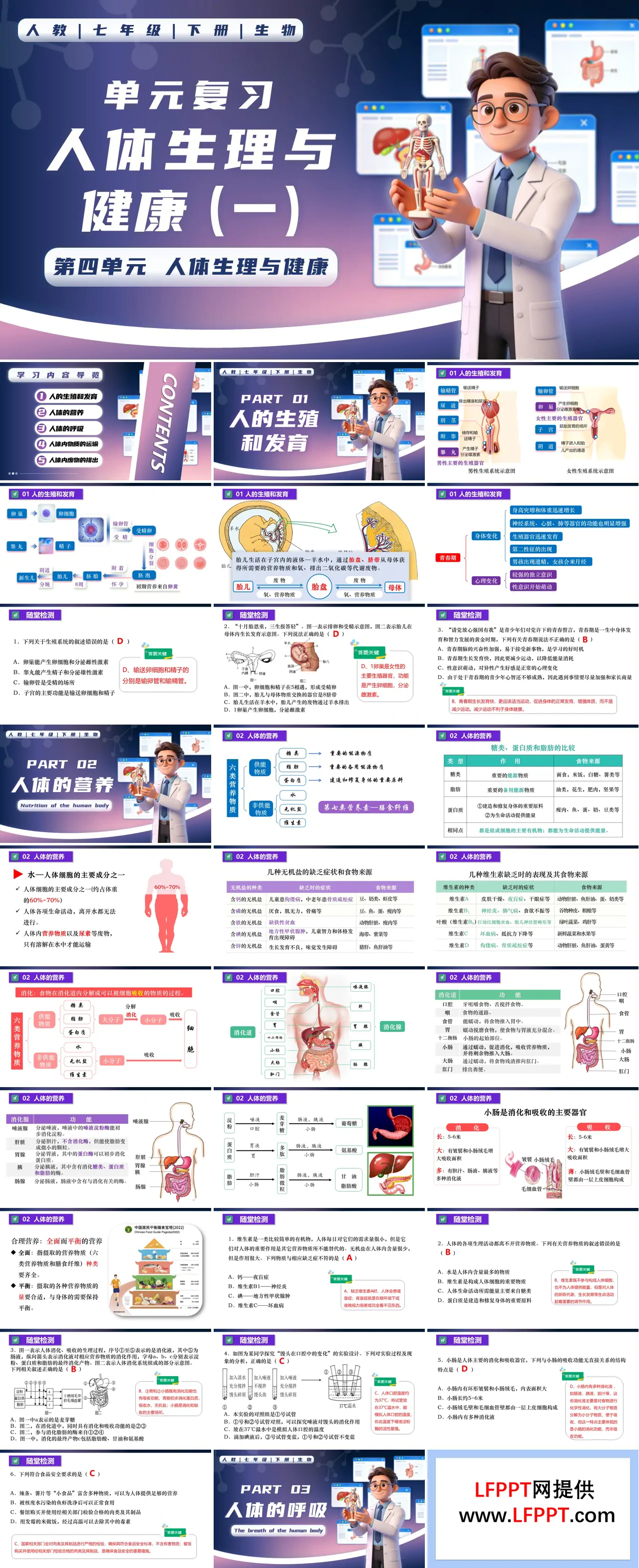 第四單元 人體生理與健康（一）單元復(fù)習(xí)七年級生物下冊第四單元PPT課件（知識清單+單元測試卷）