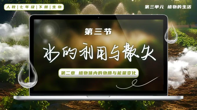 3.2.1 水的利用与散失七年级生物下册第三单元PPT课件(教案+导学案+分层作业)