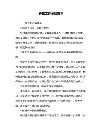 转正工作总结范本