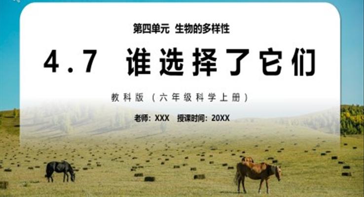 谁选择了它们PPT课件模板教科版六年级科学上册