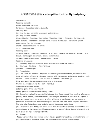 大班英语教案:caterpillar butterfly ladybug