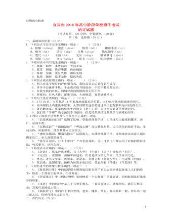 四川省宜宾市2016年中考语文真题试题(含答案)