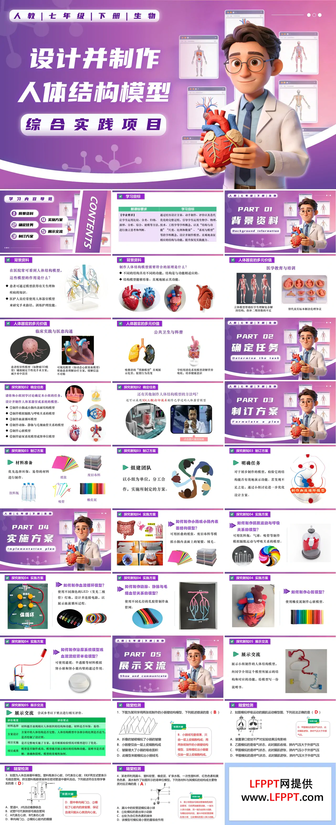 綜合實踐項目 設計并制作人體結構模型七年級生物下冊第四單元PPT課件（教案+導學案+分層作業(yè)）