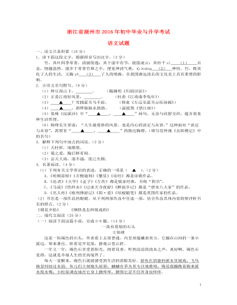 浙江省湖州市2016年中考语文真题试题(含答案)