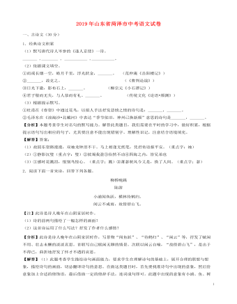 山东省菏泽市2019年中考语文真题试题(含解析)