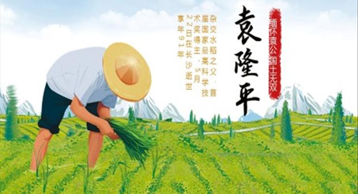 缅怀袁公国土无双PPT课件