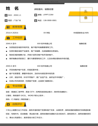 简约销售经理求职简历