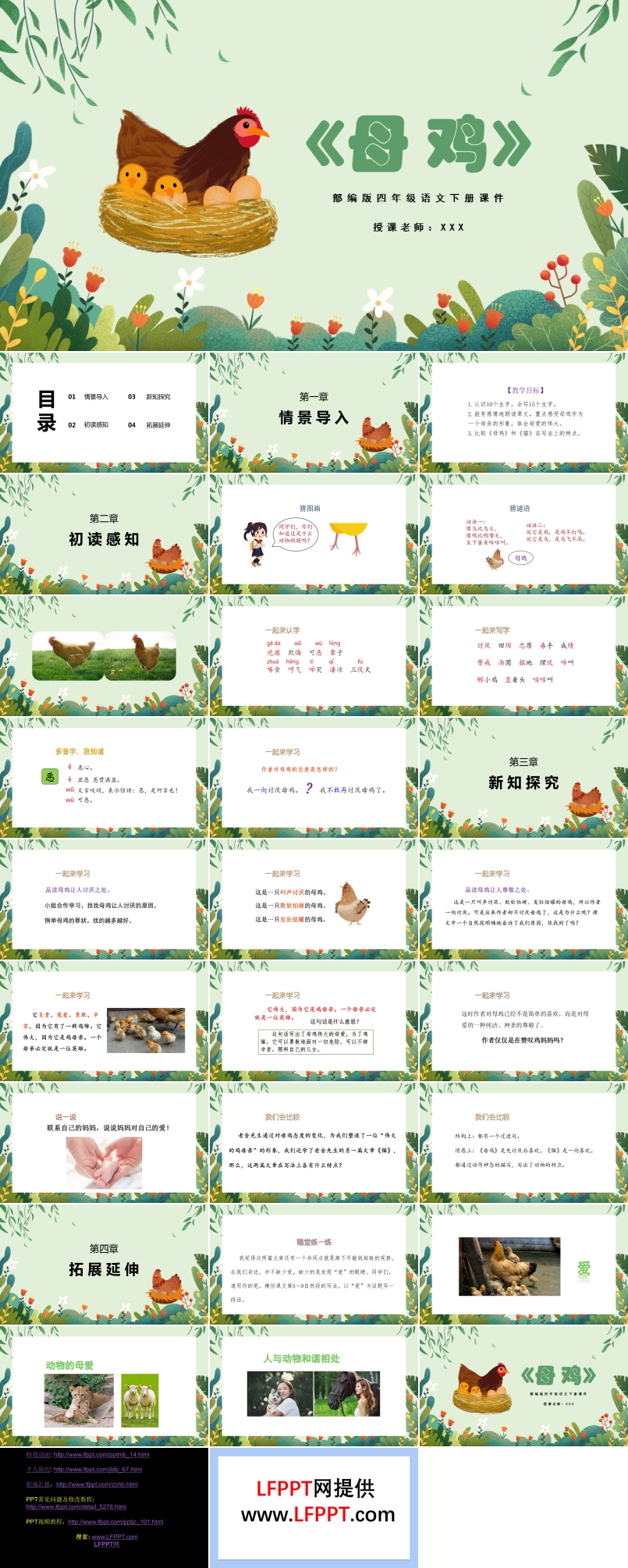 母鸡ppt课件