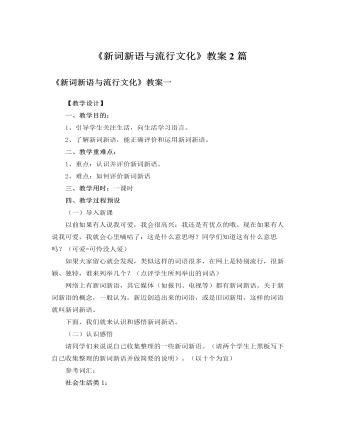 人教版高中语文必修1《新词新语与流行文化》教案2篇