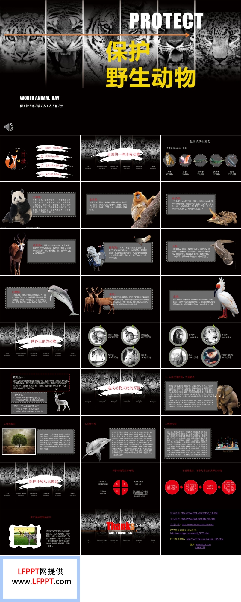 保護(hù)野生動物ppt免費(fèi)模板