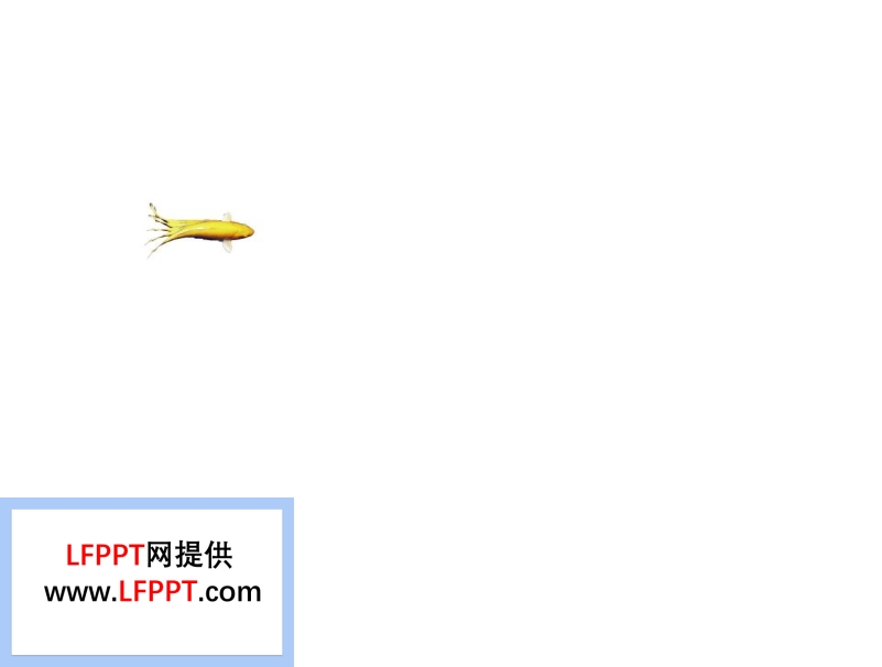 逼真的鲤鱼游动画PPT动画