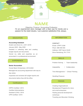 金融会计创意风英文简历