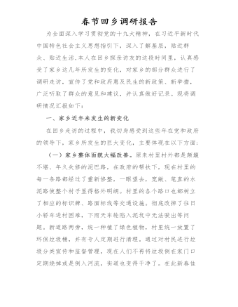 春节回乡调研报告.