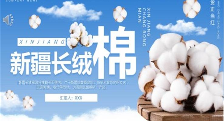 新疆长绒棉介绍PPT模板