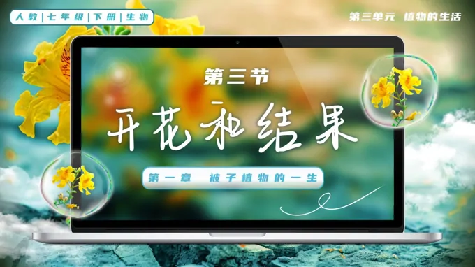 3.1.3 开花和结果七年级生物下册第三单元PPT课件(教案+导学案+分层作业)