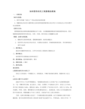 人教版高中地理必修2如何看待农民工现象精品教案