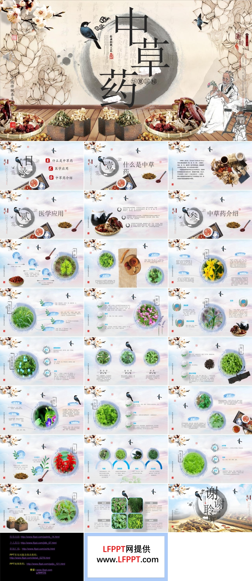 中医文化介绍PPT
