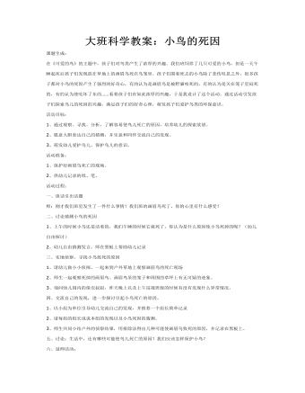 大班科学教案:小鸟的死因