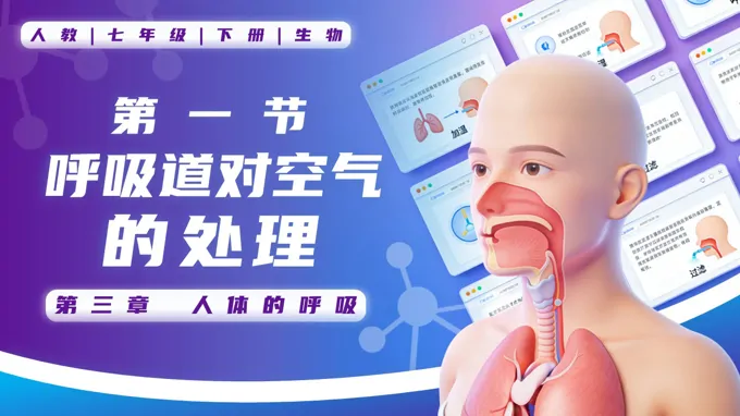 4.3.1 呼吸道對空氣的處理七年級生物下冊第四單元PPT課件（教案+導(dǎo)學(xué)案+分層作業(yè)）