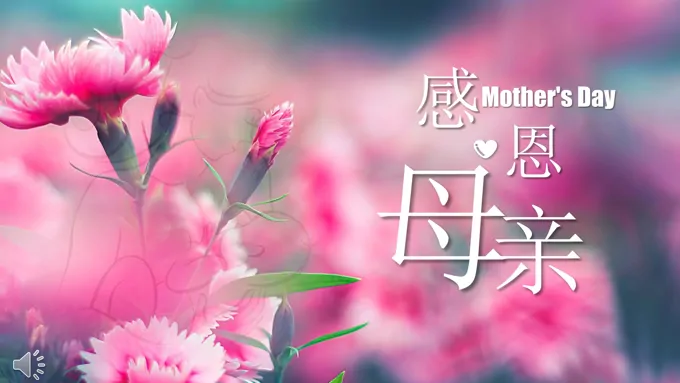 感恩母亲节PPT专用PPT模板