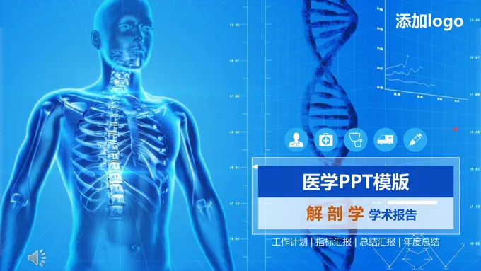 解剖学学术报告PPT模板