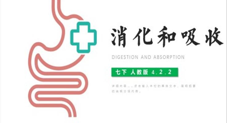 消化和吸收ppt课件