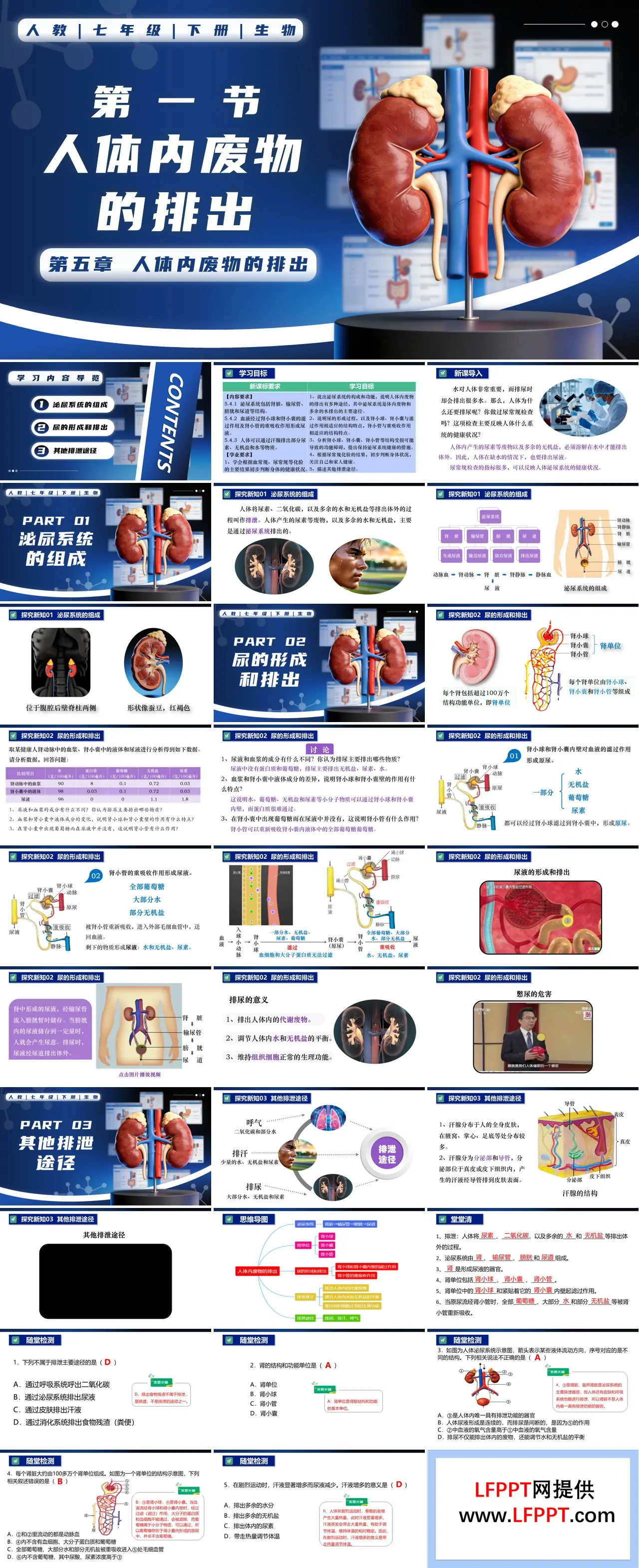 4.5 人體內(nèi)廢物的排出七年級(jí)生物下冊(cè)第四單元PPT課件（教案+導(dǎo)學(xué)案+分層作業(yè)）