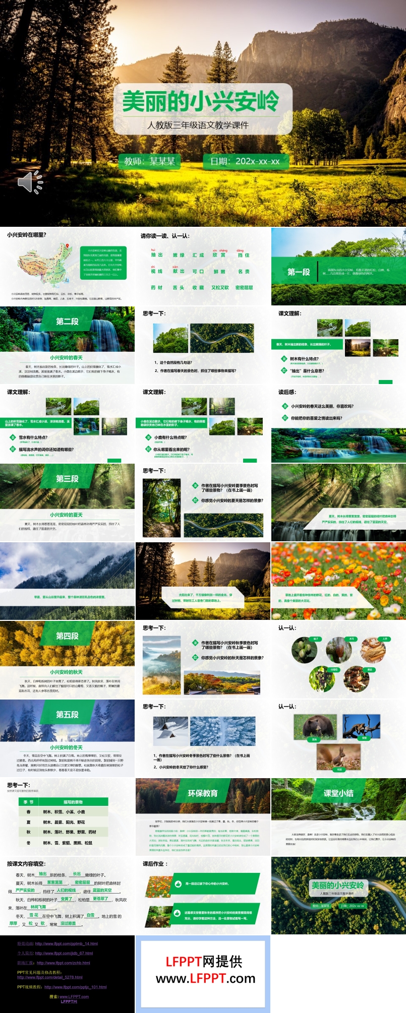 三年級語文美麗的小興安嶺課件PPT