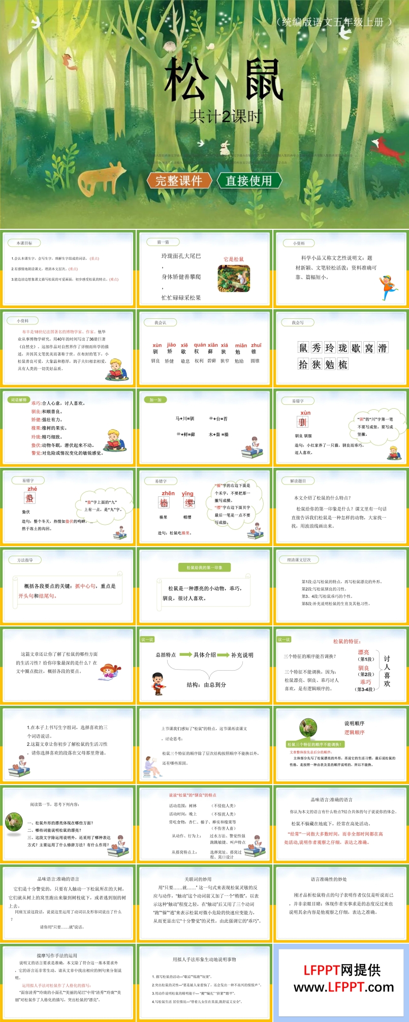 松鼠ppt课件完美版