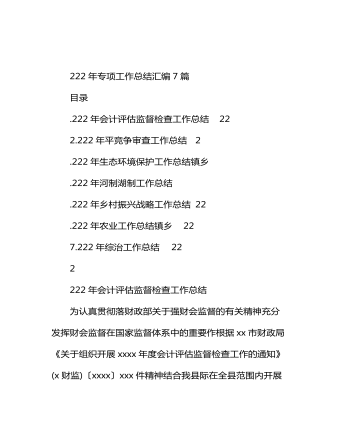 2022年专项工作总结汇编(7篇)