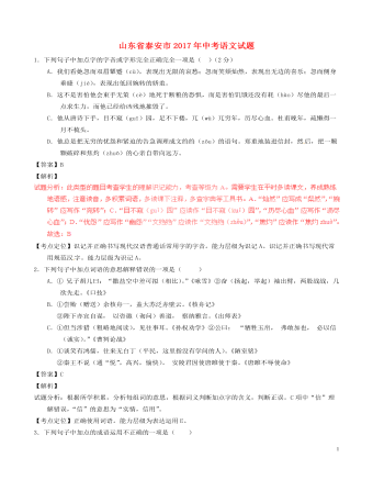 山东省泰安市2017年中考语文真题试题(含解析)